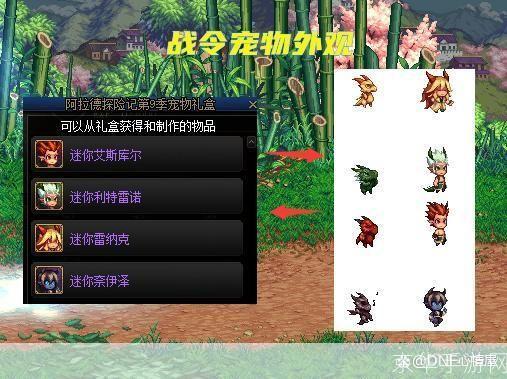 DNF宠物进化任务全解析:打造最强战斗伙伴