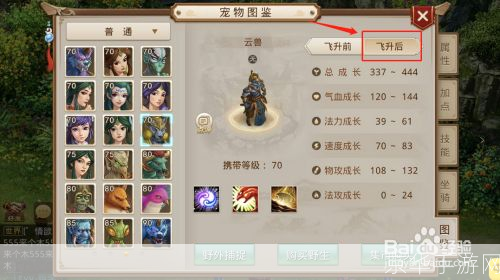 问道宠物飞升:问道宠物飞升:探索飞升之道,与宠物共赴仙境