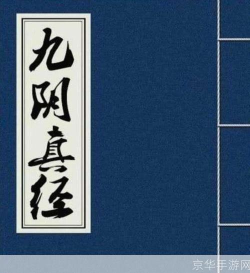 九阴真经职业:九阴真经职业探秘:江湖之路,选择你的命运