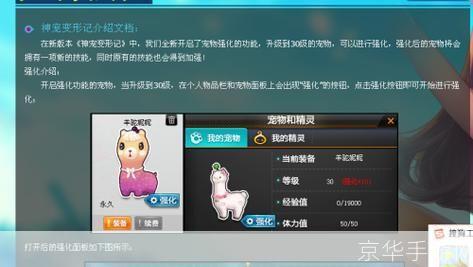 QQ飞车羊驼妮妮:极速世界中的可爱伙伴
