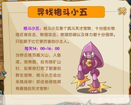 洛克王国的格斗小五:洛克王国之格斗小五:战斗与冒险的史诗之旅