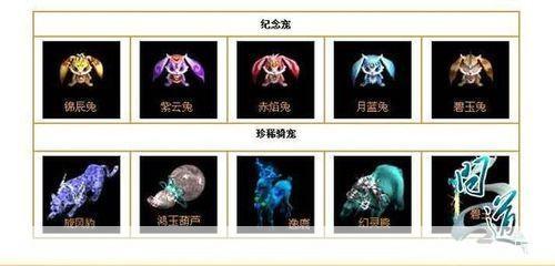 问道宠物幻化全解析:打造最强战斗伙伴