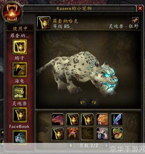 魔兽世界稀有宠物:魔兽世界:追寻稀有宠物的奇幻之旅