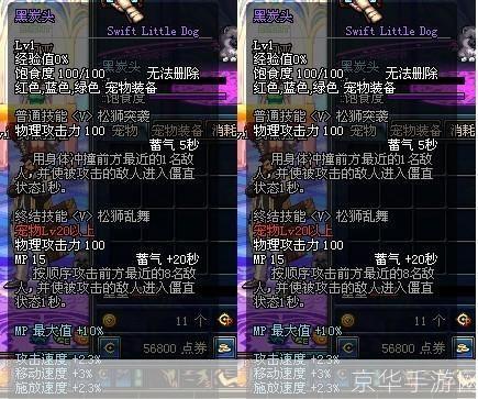 DNF宠物黑炭头—— 战斗伙伴与忠诚伴侣