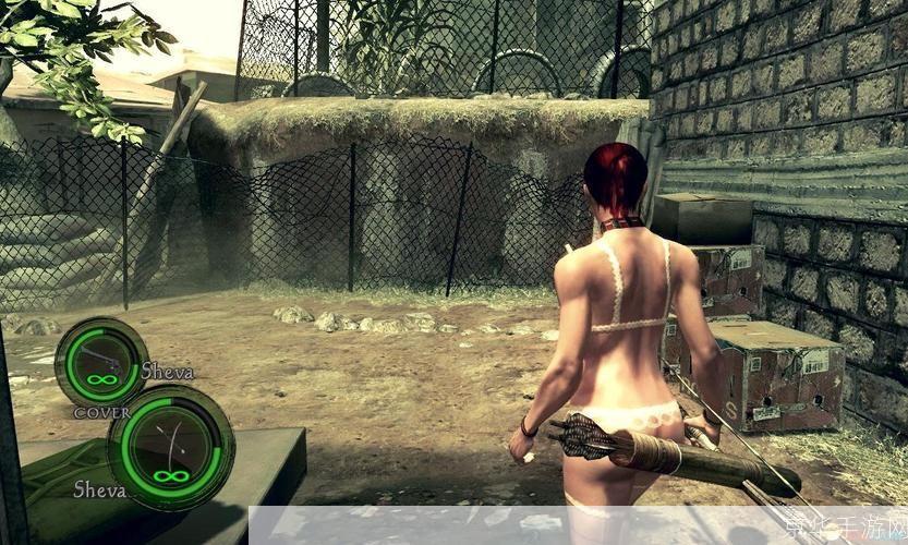 生化危机5 mod:生化危机5 MOD:重塑恐怖,探索无限可能