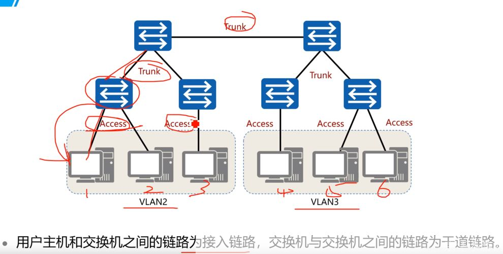 火炬之光2vlan:火炬之光2:虚拟局域网(VLAN)联机解析