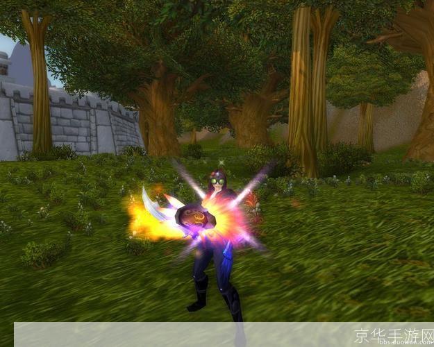 wow盗贼幻化:炫彩神偷:探索魔兽世界盗贼幻化的魅力