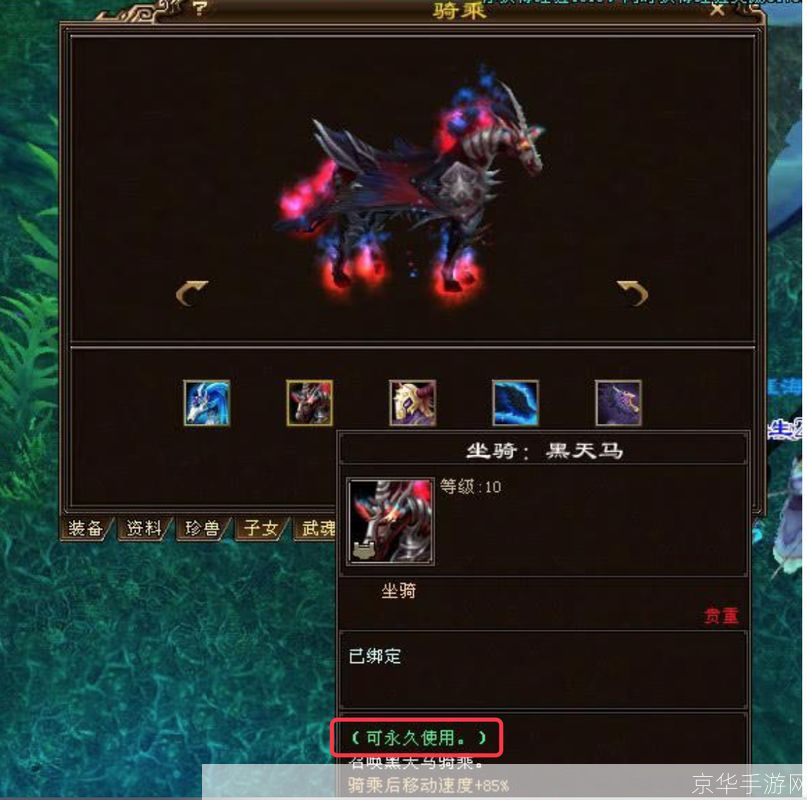 天龙八部坐骑大全:天龙八部坐骑宝典
