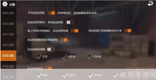 荒野行动 辅助:荒野行动辅助大揭秘:提升你的游戏技巧与策略