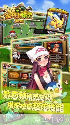 神奇宝贝:探险与挑战的世界