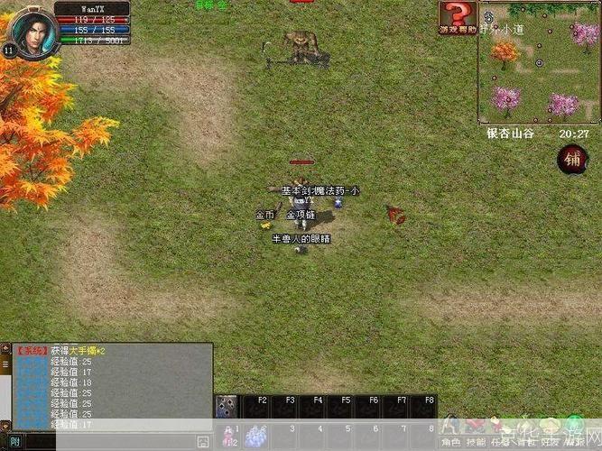 热血传奇1.95客户端:重温经典,再战沙场