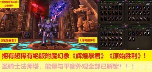 黄金圣骑士:闪耀的荣耀与无尽的挑战