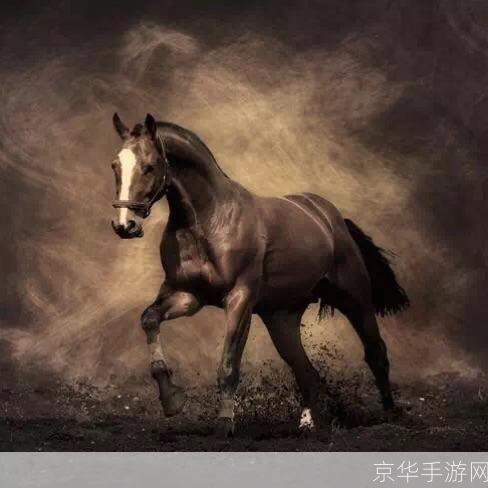驰骋疆场,铁血丹心:深度解析骑马与砍杀戎马丹心