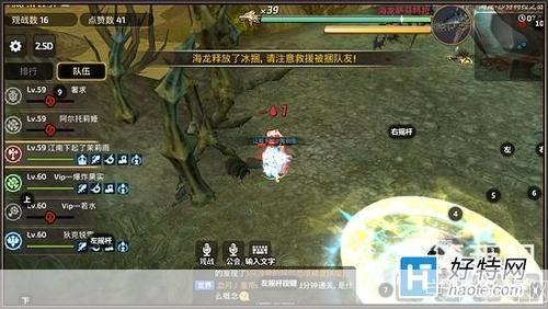 龙之谷掉线现象深度解析