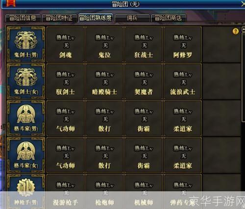 dnf冒险团等级:DNF冒险团等级深度解析:挑战、奖励与影响力
