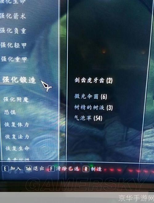 上古卷轴5:炼金术大揭秘——掌握配方,称霸炼金术世界