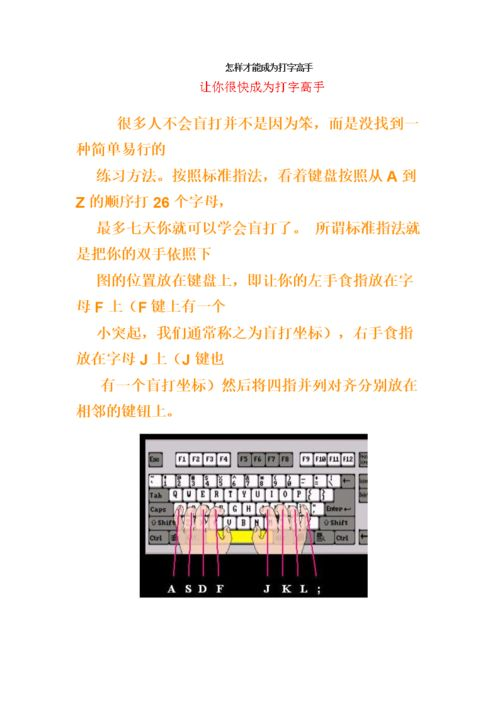打字高手的秘诀:提升打字速度与准确性