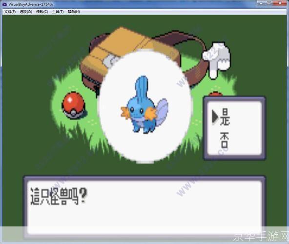 详细步骤指南:如何安装并开始玩口袋妖怪蓝宝石