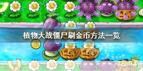 <h3>植物大战僵尸：刷钱攻略与游戏技巧</h3>