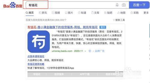 深度解析:如何使用有钱花APP官方版