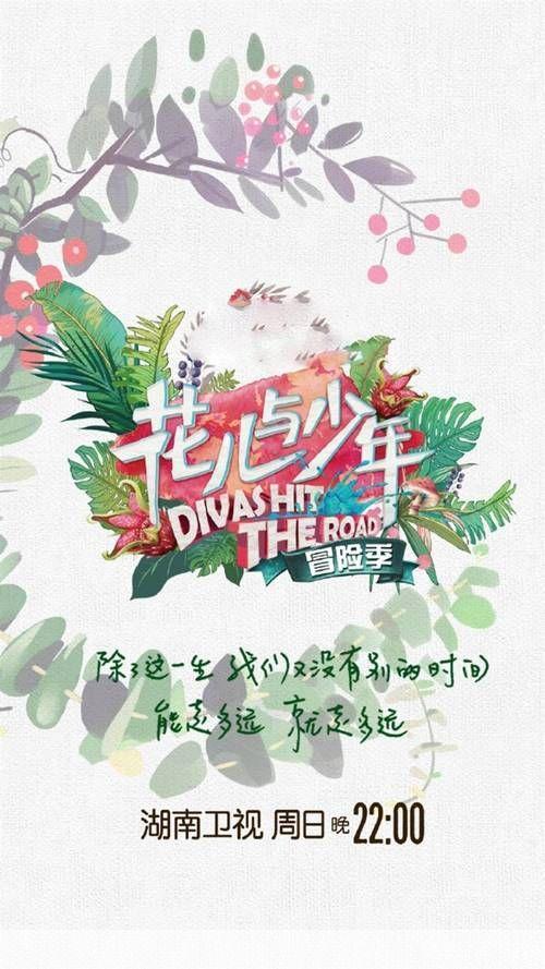 花儿与少年怎么用: 花儿与少年的多元应用
