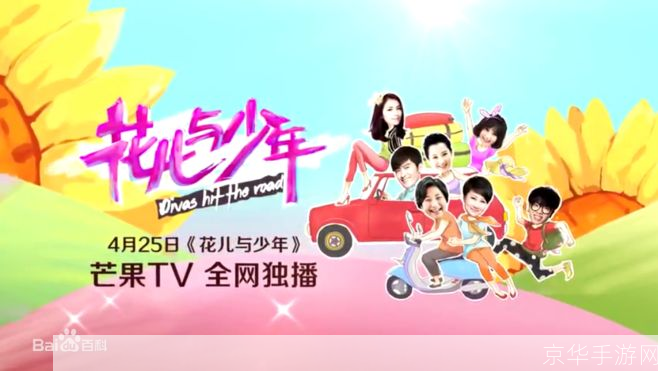 花儿与少年怎么用: 花儿与少年的多元应用