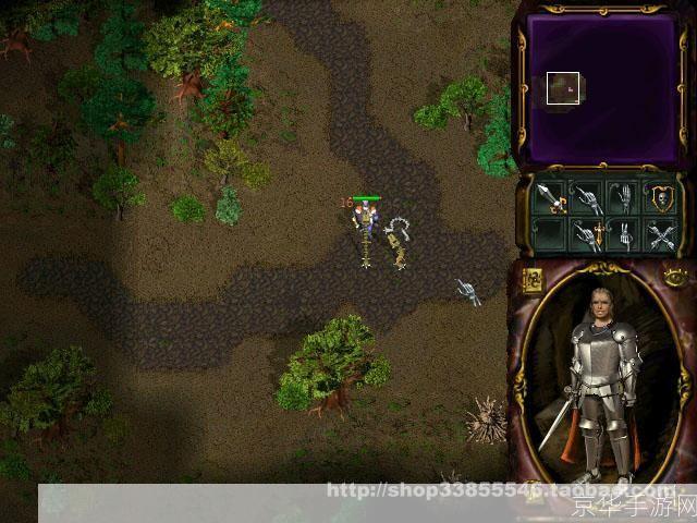 愤怒的魔法师2:愤怒的魔法师2:魔法与复仇的史诗之旅