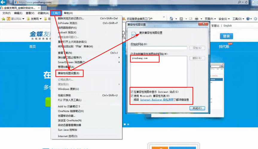 ie浏览器怎么用 官方免费: IE浏览器的使用方法及官方免费下载指南