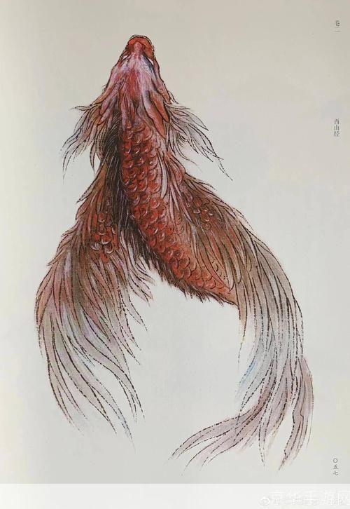 山海经十大神鱼:山海经十大神鱼:深海秘境中的守护者