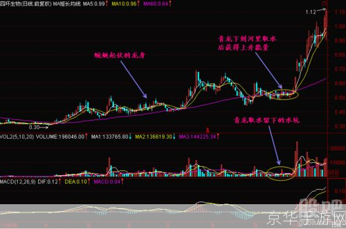 q将三国青龙加点:青龙腾飞:q将三国青龙加点攻略与解析