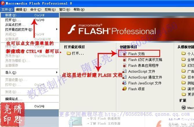 flash 8.0怎么用: Flash 8.0基础教程:从入门到精通