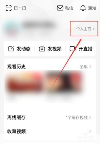 西瓜视频app官方怎么用: 西瓜视频APP官方使用指南