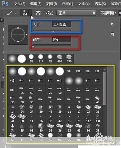 掌握画笔工具的使用技巧:从初学者到专家