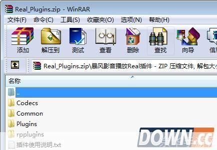 RealCodec播放器插件:提升多媒体播放体验的必备工具
