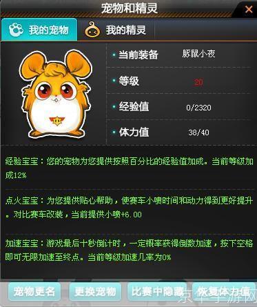 QQ飞车宠物大揭秘:竞速世界的小伙伴力量