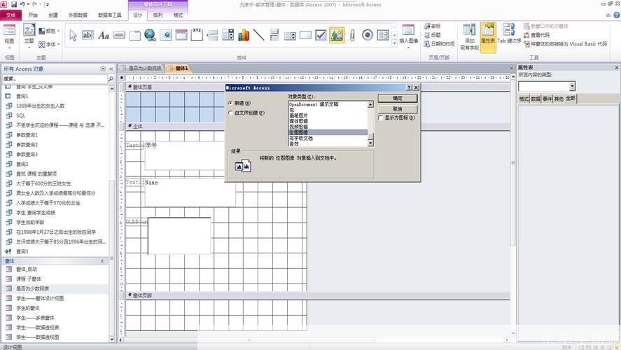 Access官方使用指南:如何充分利用Microsoft Access