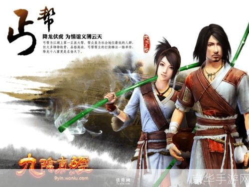 九阴真经丐帮探秘:江湖中的正义之师