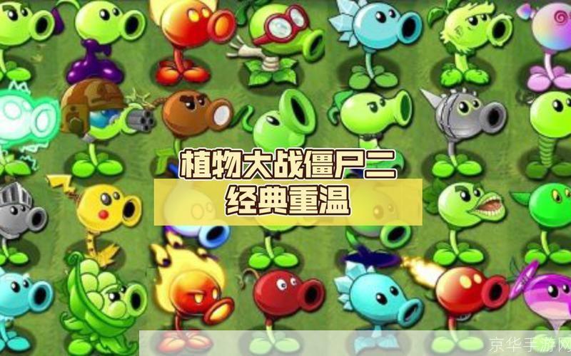 植物大战僵尸2电脑:植物大战僵尸2电脑版:重温经典,挑战升级
