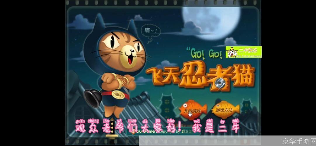 飞天忍者猫无敌版:飞天忍者猫无敌版:挑战极限,忍者的天空之舞