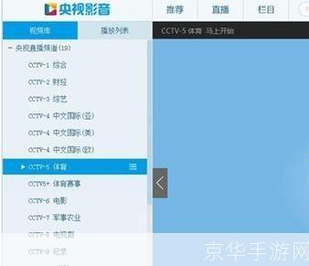 央视影音怎么用: 央视影音使用指南:如何在线观看央视节目