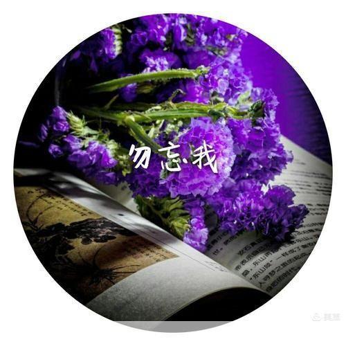 勿忘我存档:时光之沙的旋律