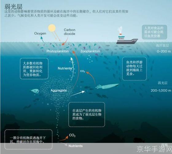 揭秘失落的禁区:挑战未知,探索无界