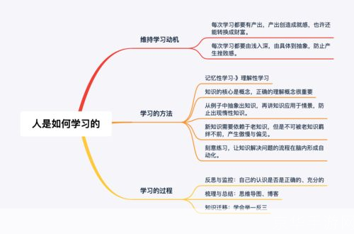 聊聊怎么用: 如何有效利用“聊聊怎么用”进行知识分享和学习