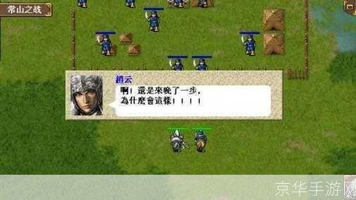 三国志新传:三国志新传:重塑辉煌的历史征程