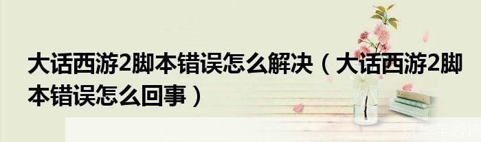 大话2脚本错误深度解析:探寻问题根源与解决方案