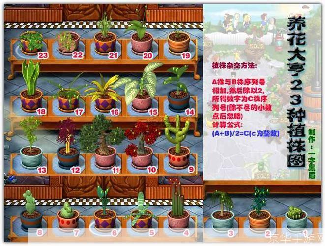 养花大亨修改器:养花大亨的秘籍:养花大亨修改器详解
