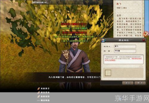 九阴真经好感度系统深度解析:如何提升NPC亲密度