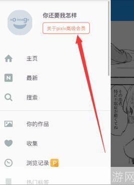 Pixiv使用方法详解