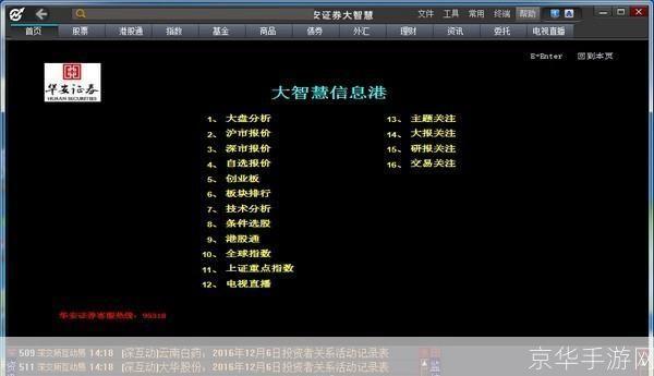 大智慧专业版怎么用: 大智慧专业版使用指南