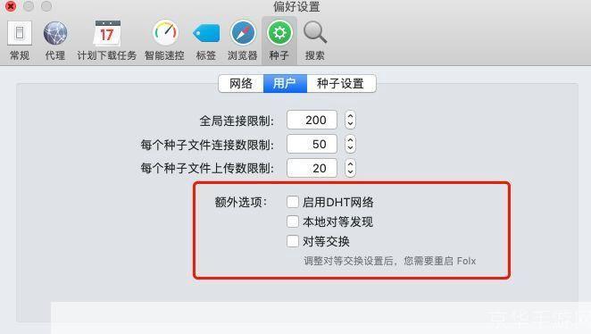详细指南:如何安装种子下载器